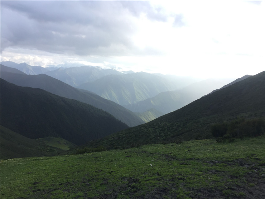 牧場(chǎng)遠眺。.jpg