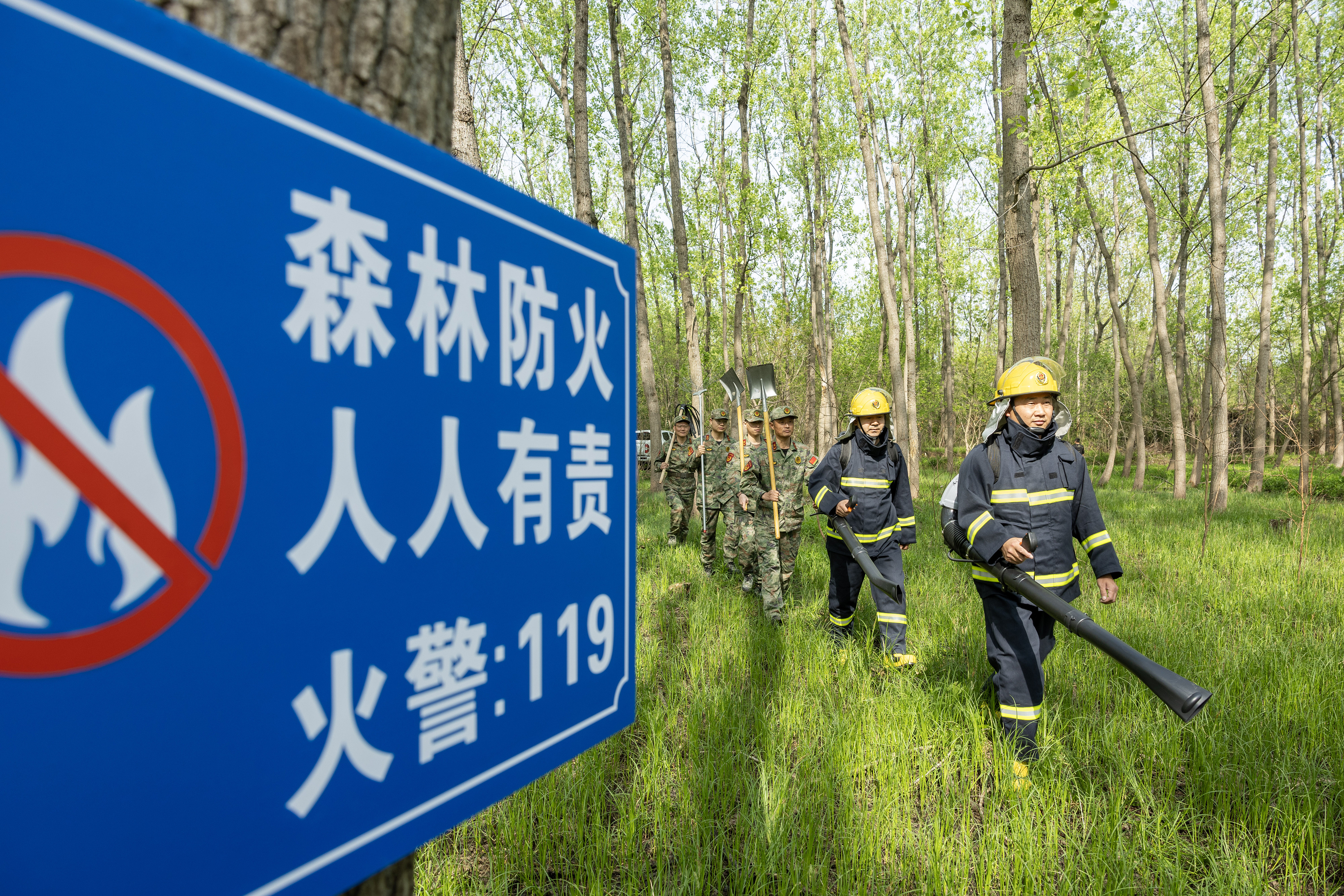 2024年4月9日，合肥市大房郢水庫水源保護地廬陽(yáng)經(jīng)濟開(kāi)發(fā)區段，基干民兵正在林間巡查火災隱患。