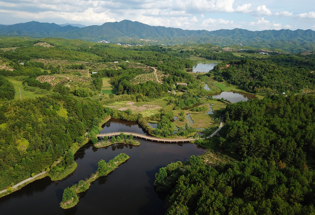 福建省龍巖市長(cháng)汀縣的長(cháng)汀汀江國家濕地公園景色（2020年7月28日攝，無(wú)人機照片）。新華社記者 魏培全 攝