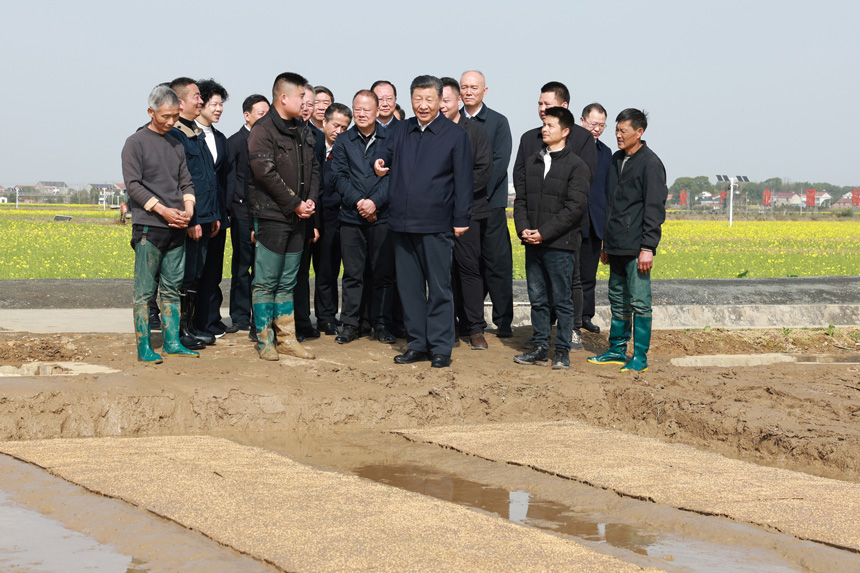 2024年3月18日至21日，中共中央總書(shū)記、國家主席、中央軍委主席習近平在湖南考察。這是19日下午，習近平在常德市鼎城區謝家鋪鎮港中坪村走進(jìn)田間，察看秧苗培育和春耕備耕進(jìn)展。新華社記者 王曄 攝